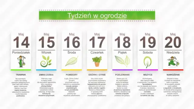 Kalendarz ogrodnika: co kiedy sadzić, aby uniknąć błędów w ogrodzie