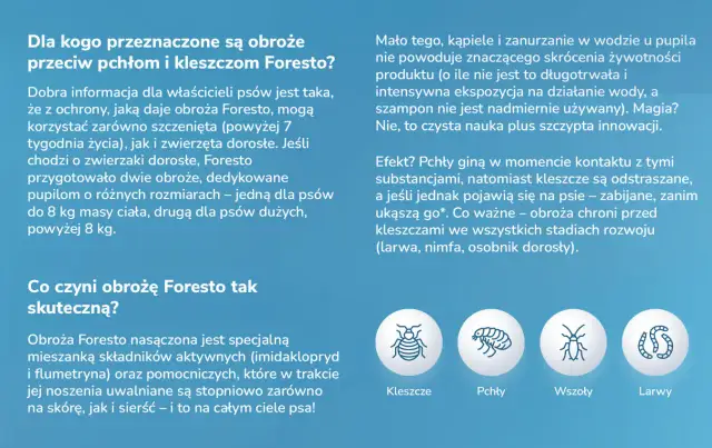 Obroża Foresto czy można kąpać psa bez obaw o skuteczność?