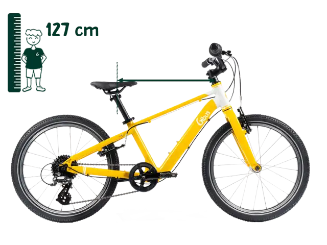 20 Zoll Fahrrad: Welches ist das Beste für mein Kind? Expertentipps