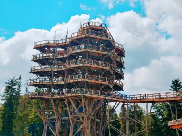 Krynica-Zdrój: Atrakcje dla każdego! Odkryj Perłę Beskidów