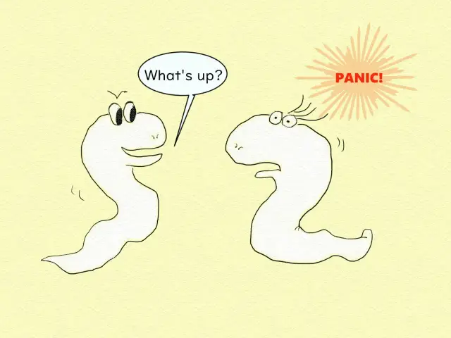 Skuteczna nauka języków: Przełam barierę i mów płynnie!