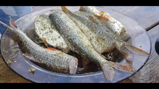 Krąp ryba - jak skutecznie łowić i przyrządzać tę rybę