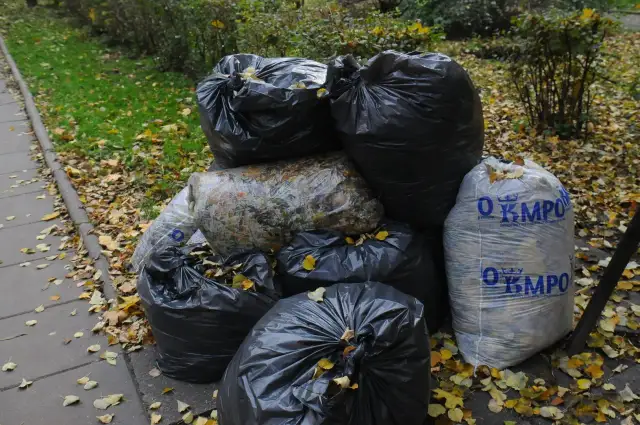 Kiedy wywóz śmieci w Krakowie? Sprawdź terminy i zasady odbioru