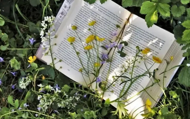 Najlepsze lekkie książki na wieczór: 6 relaksujących propozycji