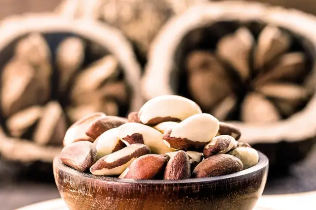 Orzechy dla psa: Trujące czy bezpieczne? Sprawdź, zanim podasz!