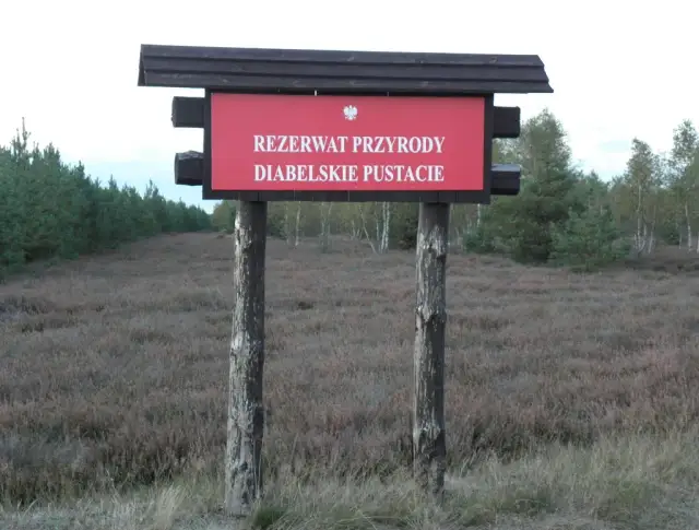 Rezerwat przyrody Diabelskie Pustacie - piękno wrzosowisk i szlaków