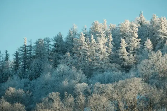 Góry Stołowe – odkryj ich niezwykły typ i geologię gór płytowych