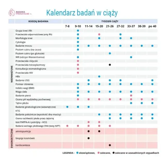 Kiedy pierwsze badania prenatalne? Terminy, NFZ i co dalej?