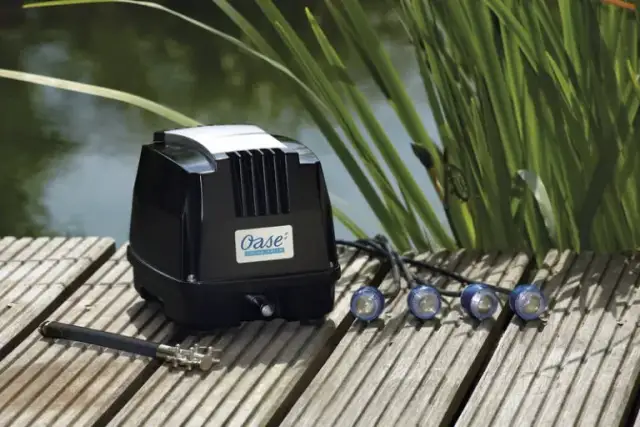 Jak napowietrzanie stawu bez prądu może uratować twoją wodę