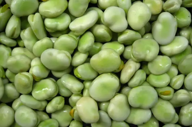 Sezon na bób: Kiedy kupić najlepszy i najtańszy?