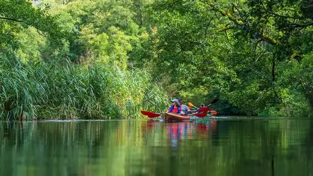 Spływ kajakowy Bory Tucholskie: Jak zaplanować przygodę życia?
