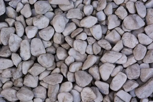 Czyste kamienie ogrodowe: Jak usunąć mech i brud? Poradnik