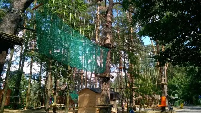 Park linowy Augustów - idealne miejsce na aktywny wypoczynek z rodziną