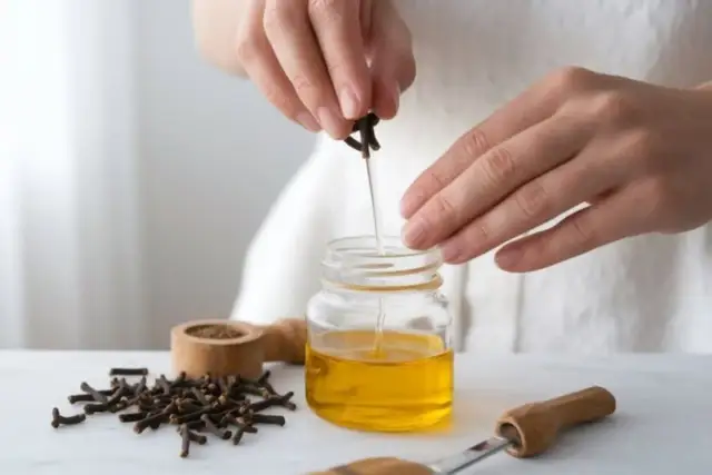 Dłonie dodają goździki do słoiczka z olejem, pokazując, jak zrobić olejek goździkowy w domu. Obok leżą suszone goździki.