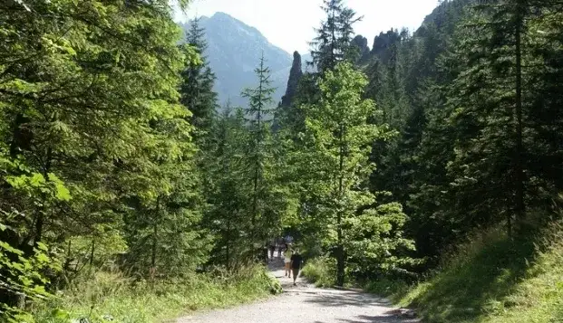 Jak łatwo kupić bilety online do Doliny Kościeliskiej: praktyczny poradnik