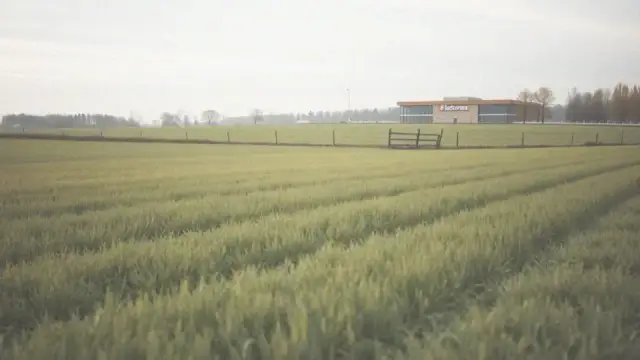 Ile płaci biedronka za wynajem gruntu? Ceny, które zaskakują właścicieli