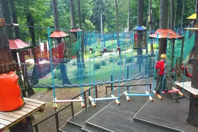Park linowy 3doliny - Przeżyj niezapomniane chwile wśród drzew