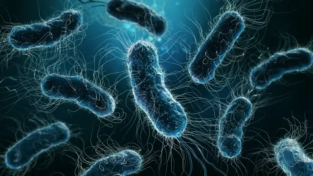 ZUM: Skąd bakterie w moczu? Kto ryzykuje i jak się chronić?