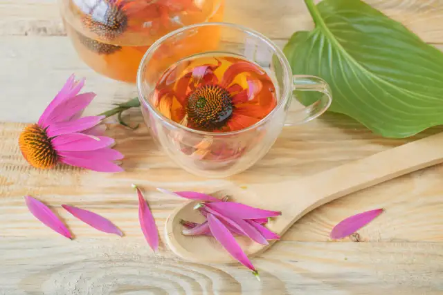 Jaka herbata na gorączkę? Sprawdzone domowe napary na ulgę