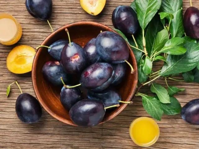 Nalewka ze śliwek na co pomaga: odkryj jej zdrowotne właściwości