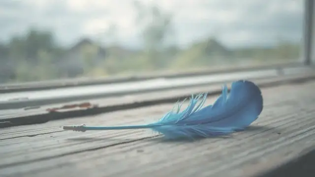 Niebieski ptak frazeologizm – znaczenie, pochodzenie i przykłady użycia