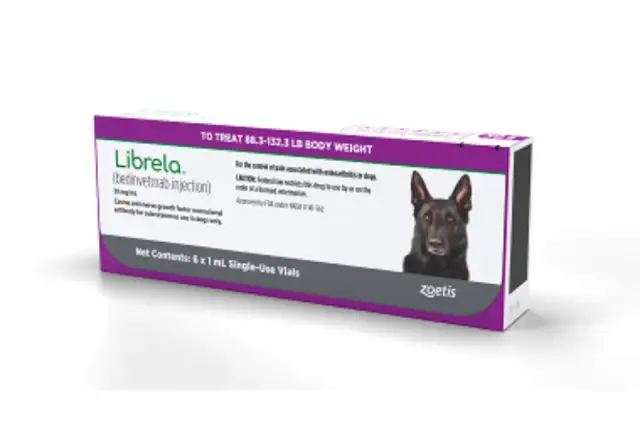 Librela dla psa: Ulga w bólu stawów? Poznaj przełomową terapię