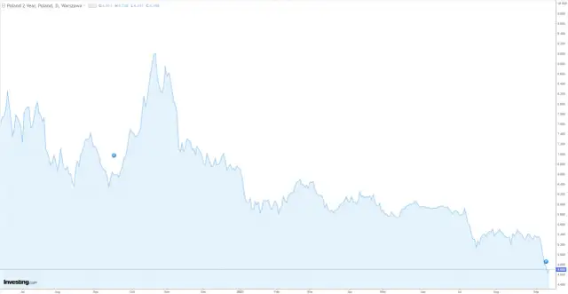 Rentowność 5-letnich obligacji skarbowych: Ile zyskasz?