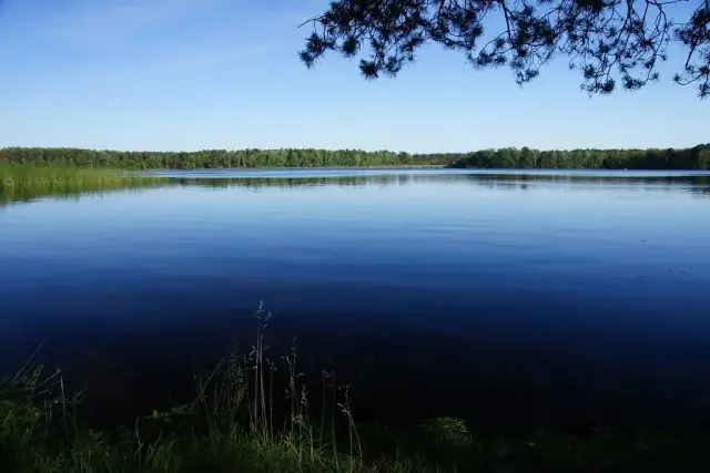 Jezioro Czerskie - ukryte skarby przyrody i atrakcje rekreacyjne