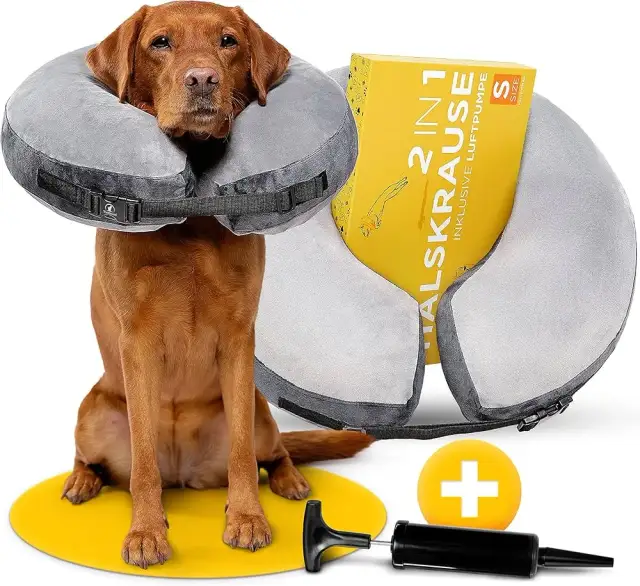 Alternatywy dla kołnierza ochronnego: Komfort psa po zabiegu