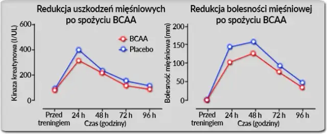 BCAA przed czy po treningu? Dopasuj do celu i zyskaj więcej!