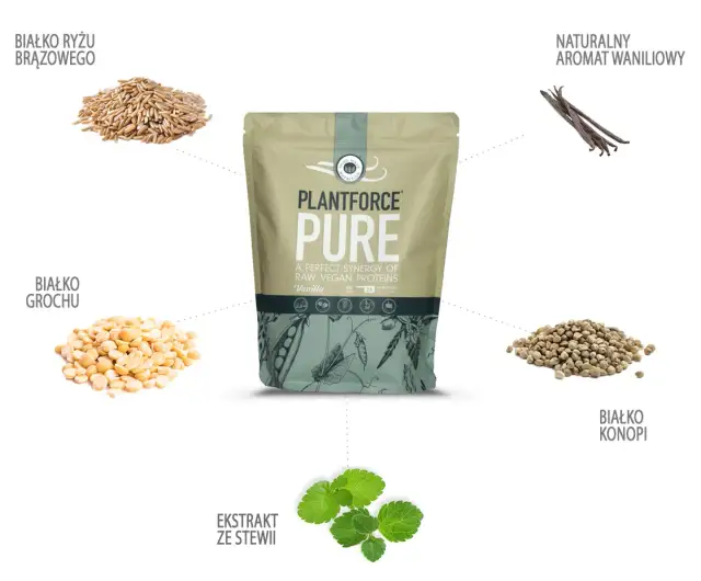 Białko roślinne: Gdzie kupić i jak wybrać idealne?