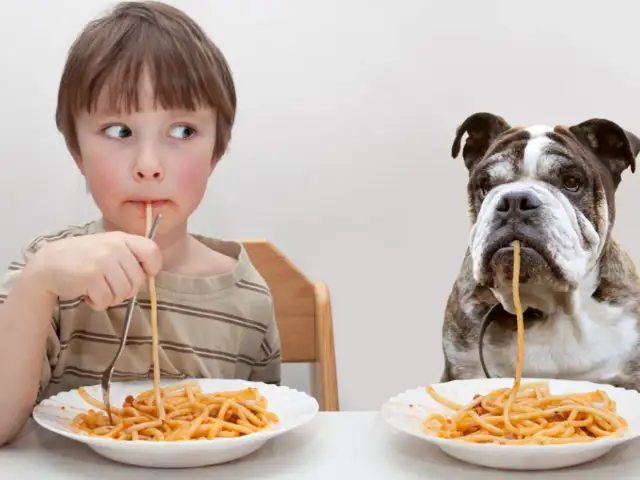 Chłopiec i buldog jedzą spaghetti. Czy pies może jeść makaron? To pytanie zadaje sobie wielu właścicieli czworonogów.