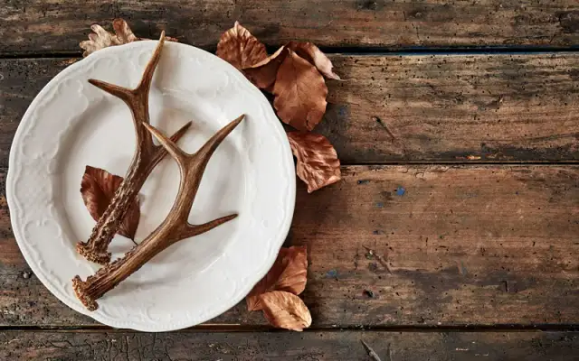 Jak przygotować poroże jelenia dla psa, aby było bezpieczne i zdrowe