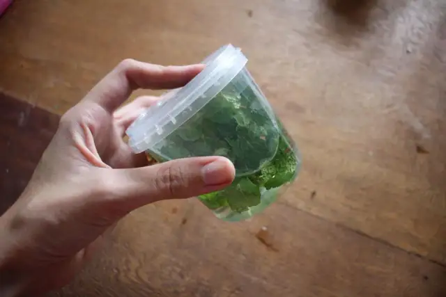 Ekstrakt miętowy – jak przygotować domowy krok po kroku