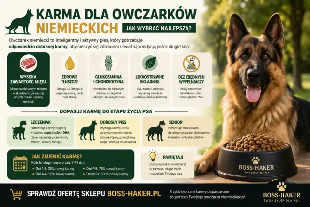 Jaka karma dla owczarka niemieckiego? Wybieraj tę z wysoką zawartością mięsa, glukozaminą i bez zbędnych wypełniaczy. Dopasuj do wieku psa.