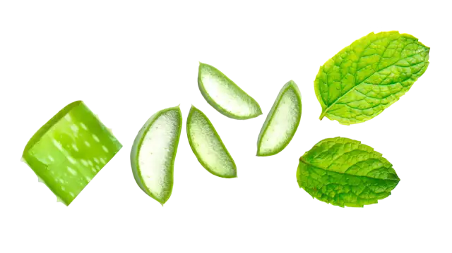 Czym płukać dziąsła? Szybka ulga i sprawdzone metody na zapalenie