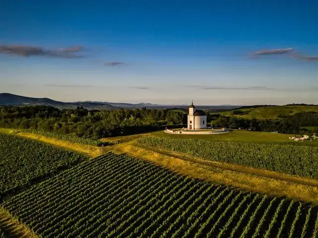 Najciekawsze atrakcje w Tokaju, które musisz zobaczyć podczas wizyty