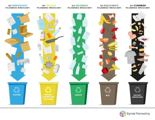 Jak wyrzucić styropian? Segregacja i recykling krok po kroku