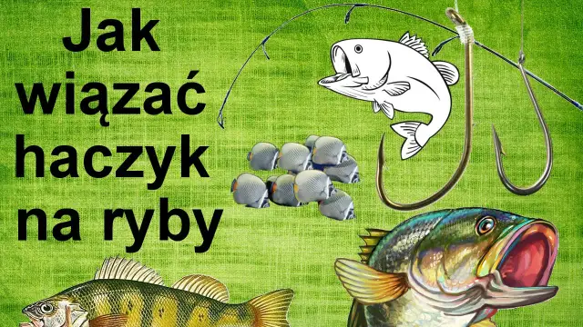 Jak założyć haczyk na wędkę - unikaj najczęstszych błędów wędkarskich