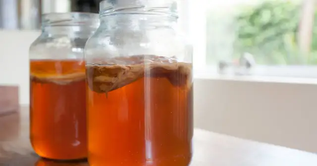 Kombucha: Zdrowa czy przereklamowana? Pełna analiza