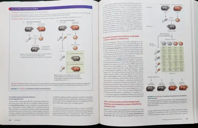 Biologia Villego czy Campbella - który podręcznik jest lepszy?