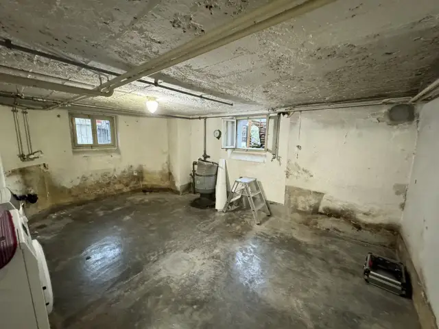 Nasse Wände im Keller was tun: Effektive Lösungen und Tipps zur Sanierung