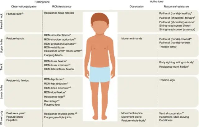 Hipotonia u dzieci: Ile trwa rehabilitacja i co przyspiesza efekty?