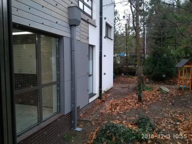 Stop kolizjom! Ochrona okien przed ptakami poradnik eksperta