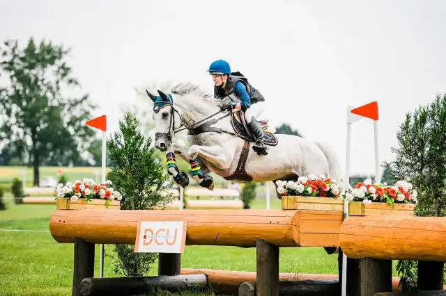 Jeździectwo skoki przez przeszkody: historia, zasady i przygotowanie
