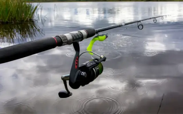 Wędki bolonki na jakie ryby – skuteczne metody i gatunki do połowu