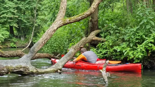 Spływ kajakowy Wierzycą: Trasy, koszty, porady. Planujesz?