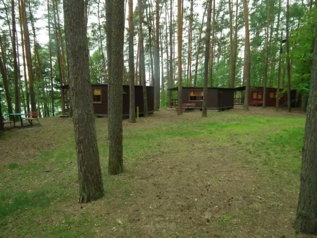 Najlepsze domki letniskowe nad jeziorem Partęczyny Wielkie dla rodzin