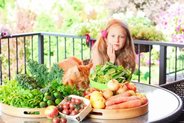 Czy dieta wegetariańska jest zdrowa dla dzieci? Sprawdź, co musisz wiedzieć