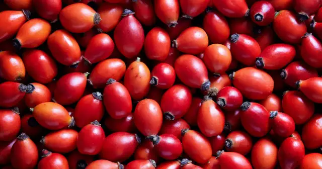 Jak zrobić herbatę z owoców dzikiej róży, by cieszyć się zdrowiem